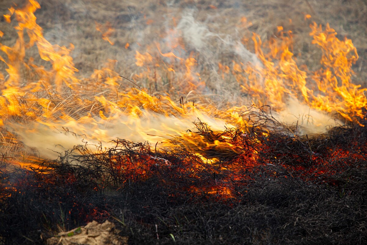МЧС РБ: Пожароопасный период