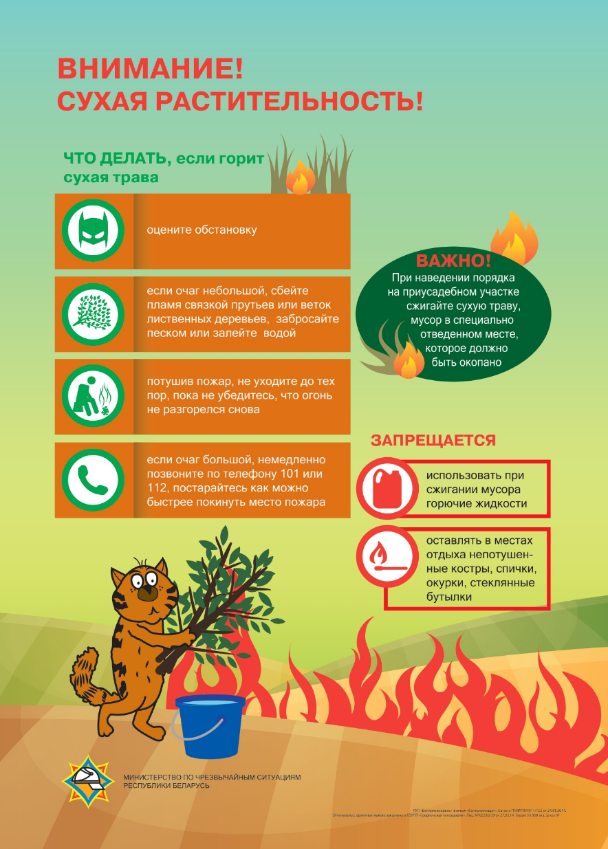 МЧС РБ: Пожароопасный период