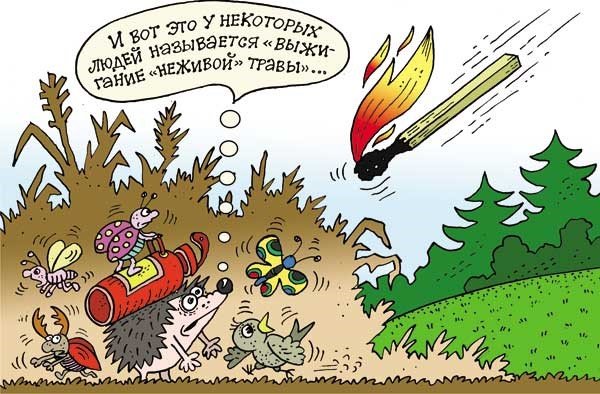 МЧС РБ: Палы сухой травы