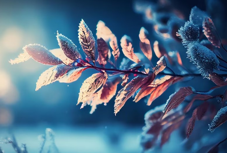 В БЕЛАРУСЬ ПРИШЛИ ХОЛОДА - ОБЕЗОПАСЬТЕ СЕБЯ И БЛИЗКИХ