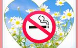 tabak_4